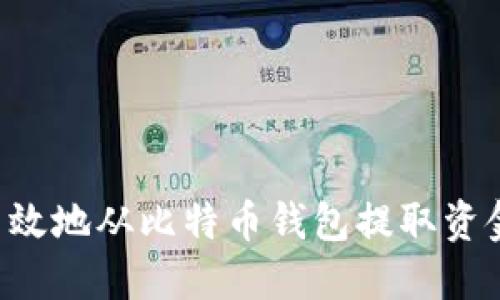 如何安全高效地从比特币钱包提取资金：全面指南
