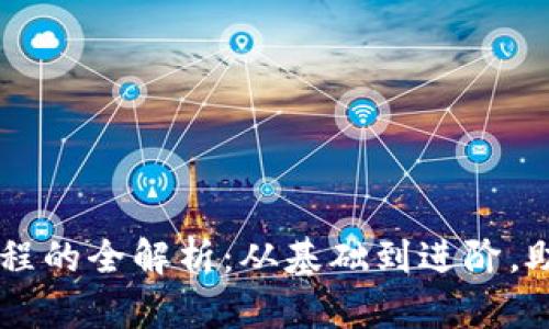 tpWallet闪推流程的全解析：从基础到进阶，助你成为闪推高手