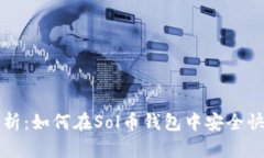 : 全面解析：如何在Sol币钱