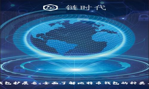 比特币钱包扩展名：全面了解比特币钱包的种类与安全性