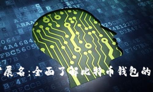 比特币钱包扩展名：全面了解比特币钱包的种类与安全性