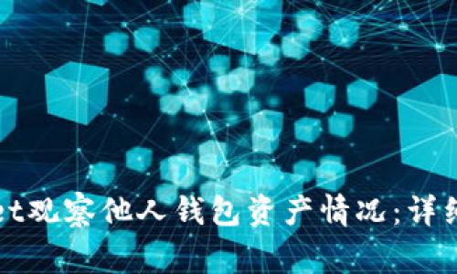 如何使用tpWallet观察他人钱包资产情况：详细指南与注意事项