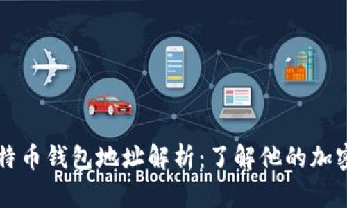 马斯克比特币钱包地址解析：了解他的加密货币投资
