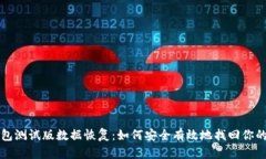 狗狗币钱包测试版数据恢复：如何安全有效地找