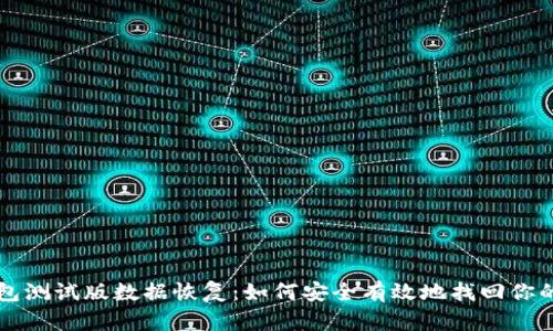 狗狗币钱包测试版数据恢复：如何安全有效地找回你的数字资产