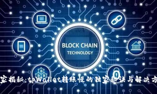 专家揭秘：tpWallet转账慢的独家秘诀与解决方案