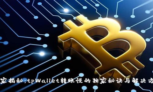 专家揭秘：tpWallet转账慢的独家秘诀与解决方案