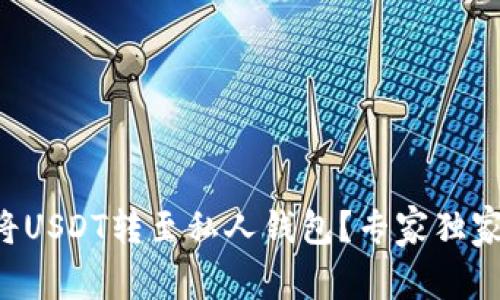 如何安全地将USDT转至私人钱包？专家独家秘诀大公开!