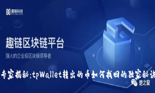 专家揭秘：tpWallet转出的币如何找回的独家秘诀