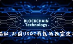专家揭秘：外国USDT钱包的