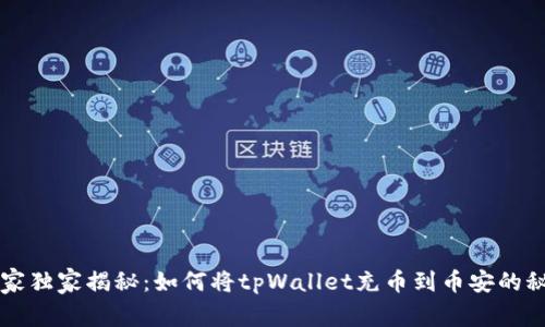 专家独家揭秘：如何将tpWallet充币到币安的秘诀