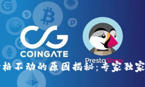 tpWallet价格不动的原因揭秘：专家独家的内幕秘诀