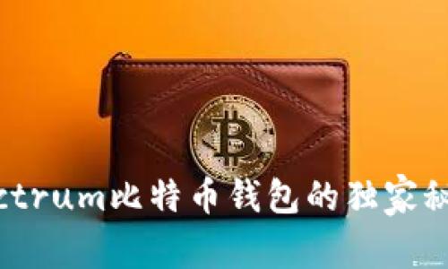 专家揭秘：Electrum比特币钱包的独家秘诀与使用技巧