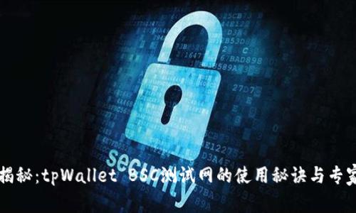 独家揭秘：tpWallet BSC测试网的使用秘诀与专家指导