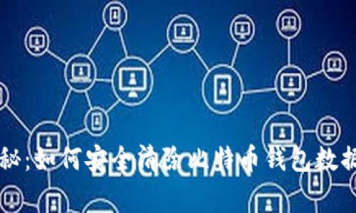 专家独家揭秘：如何安全清除比特币钱包数据的终极秘诀