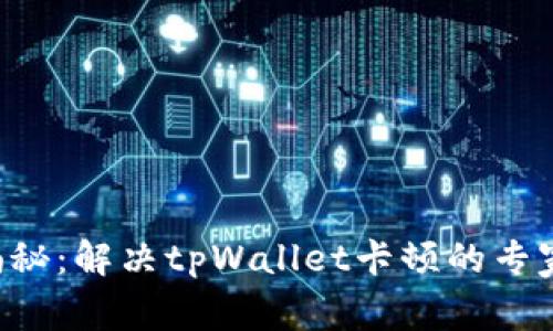 独家揭秘：解决tpWallet卡顿的专家秘诀！