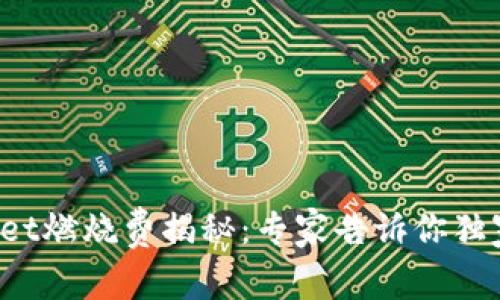 tpWallet燃烧费揭秘：专家告诉你独家秘诀！