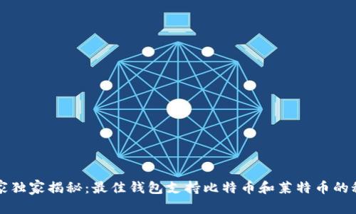 专家独家揭秘：最佳钱包支持比特币和莱特币的秘诀