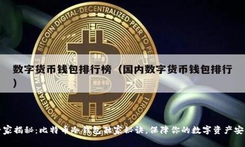 专家揭秘：比特币冷钱包独家秘诀，保障你的数字资产安全