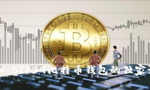专家揭秘：BIP39比特币钱包的独家设置秘诀