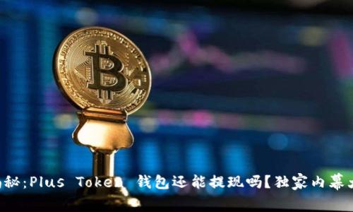 专家揭秘：Plus Token 钱包还能提现吗？独家内幕大曝光！
