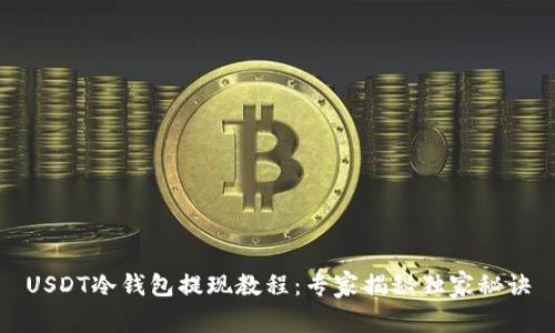 USDT冷钱包提现教程：专家揭秘独家秘诀