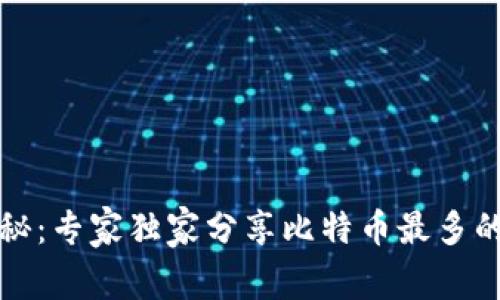 比特币钱包地址揭秘：专家独家分享比特币最多的钱包地址及其秘诀