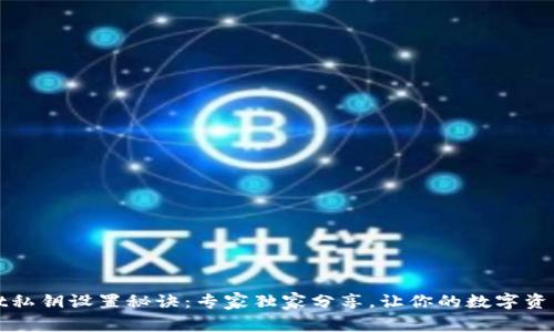 tpWallet私钥设置秘诀：专家独家分享，让你的数字资产更安全