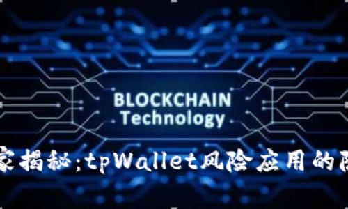 专家独家揭秘：tpWallet风险应用的隐藏秘诀
