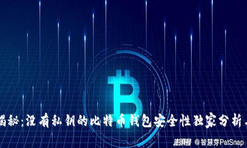 专家揭秘：没有私钥的比特币钱包安全性独家分析与秘诀