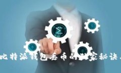专家揭秘：比特派钱包丢