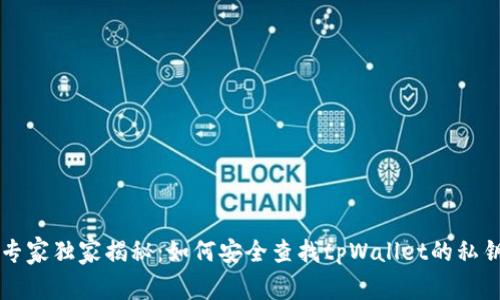 专家独家揭秘：如何安全查找tpWallet的私钥