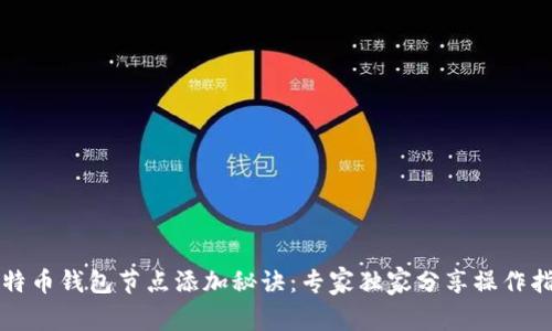 比特币钱包节点添加秘诀：专家独家分享操作指南