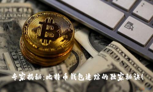 专家揭秘：比特币钱包追踪的独家秘诀！