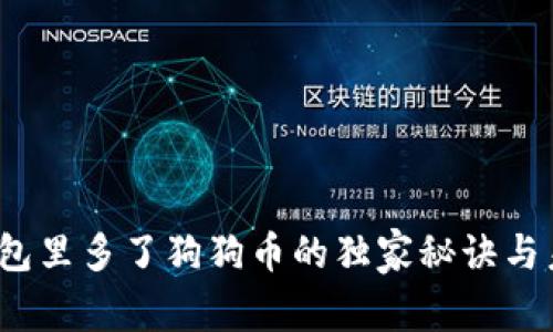 专家揭秘：钱包里多了狗狗币的独家秘诀与未来走势分析