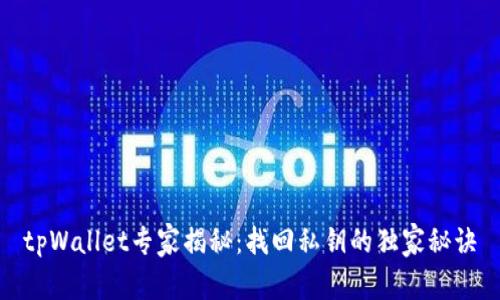 tpWallet专家揭秘：找回私钥的独家秘诀