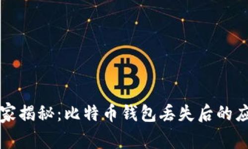专家独家揭秘：比特币钱包丢失后的应对秘诀