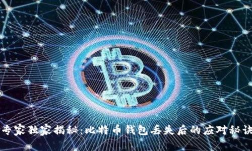 专家独家揭秘：比特币钱包丢失后的应对秘诀