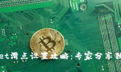 tpWallet滑点设置攻略：专家