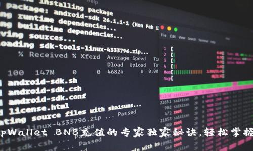tpWallet BNB充值的专家独家秘诀，轻松掌握！