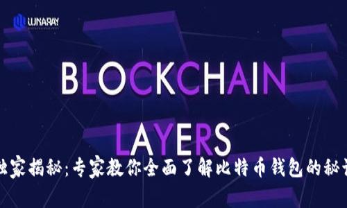 独家揭秘：专家教你全面了解比特币钱包的秘诀