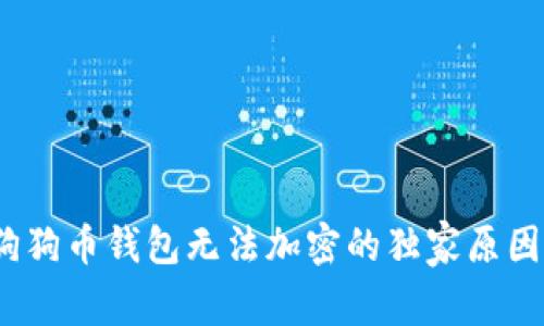 专家揭秘：狗狗币钱包无法加密的独家原因与解决秘诀