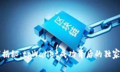 专家揭秘：tpWallet成功背后的独家秘诀