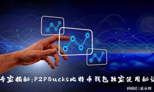 专家揭秘：P2PBucks比特币钱包独家使用秘诀