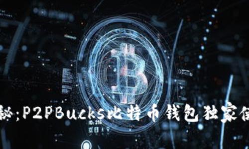 专家揭秘：P2PBucks比特币钱包独家使用秘诀