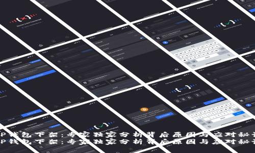 tP钱包下架：专家独家分析背后原因与应对秘诀
tP钱包下架：专家独家分析背后原因与应对秘诀