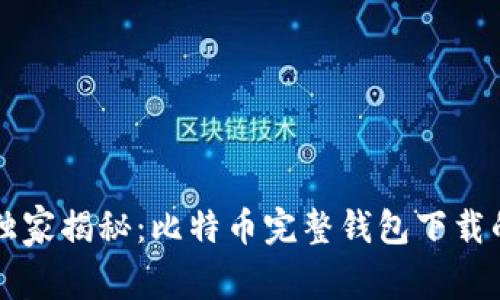 专家独家揭秘：比特币完整钱包下载的秘诀
