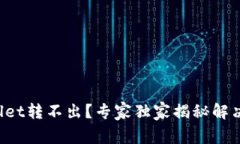 tpWallet转不出？专家独家揭秘解决秘诀！
