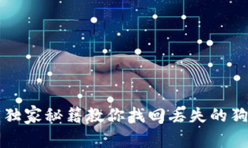 专家揭密：独家秘籍教你找回丢失的狗狗币钱包！