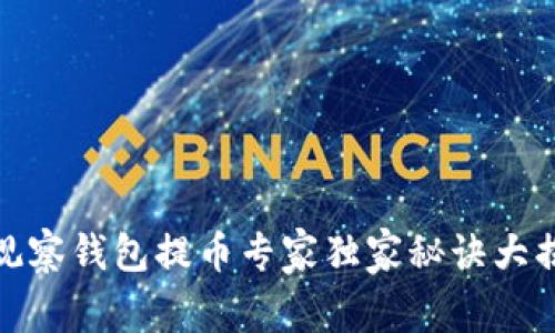 TP观察钱包提币专家独家秘诀大揭秘